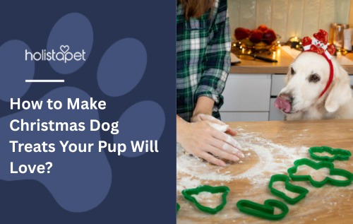 How to Make Christmas Dog Treats Your Pup Will Love?