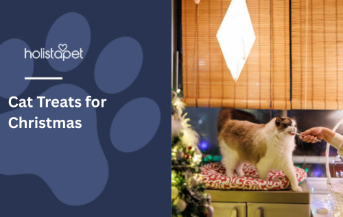 Cat Treats for Christmas