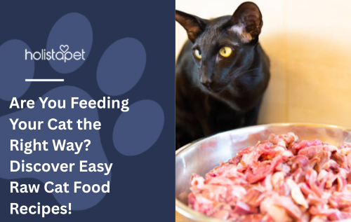 Are You Feeding Your Cat the Right Way? Discover Easy Raw Cat Food Recipes!