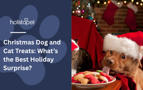 Christmas Dog and Cat Treats: What’s the Best Holiday Surprise?