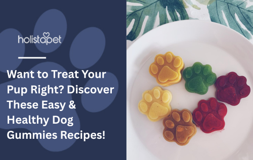Want to Treat Your Pup Right? Discover These Easy & Healthy Dog Gummies Recipes!