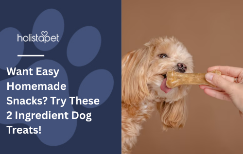 Want Easy Homemade Snacks? Try These 2 Ingredient Dog Treats!