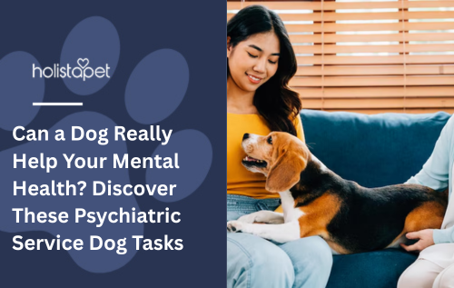 Can a Dog Really Help Your Mental Health? Discover These Psychiatric Service Dog Tasks