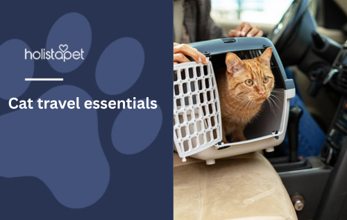 Cat travel essentials