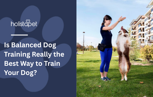 Is Balanced Dog Training Really the Best Way to Train Your Dog?