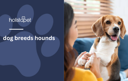dog breeds hounds
