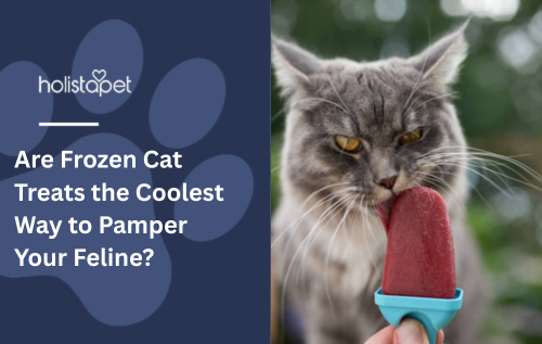 Are Frozen Cat Treats the Coolest Way to Pamper Your Feline?