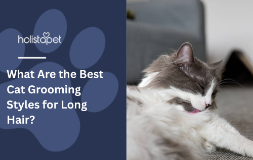 What Are the Best Cat Grooming Styles for Long Hair?
