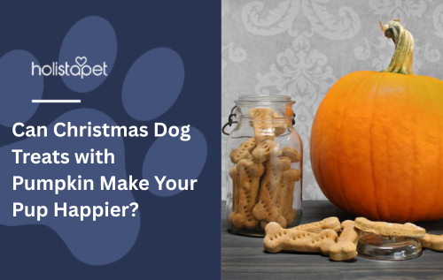 Can Christmas Dog Treats with Pumpkin Make Your Pup Happier?