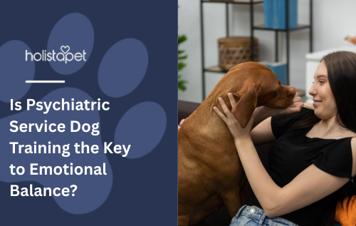 Is Psychiatric Service Dog Training the Key to Emotional Balance?