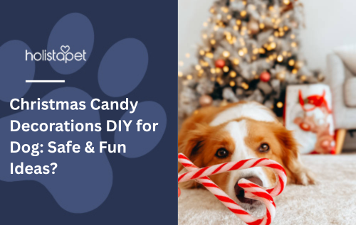 Christmas Candy Decorations DIY for Dog: Safe & Fun Ideas?