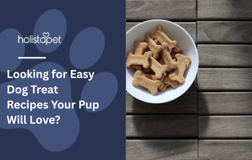 Looking for Easy Dog Treat Recipes Your Pup Will Love?