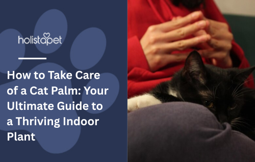How to Take Care of a Cat Palm: Your Ultimate Guide to a Thriving Indoor Plant