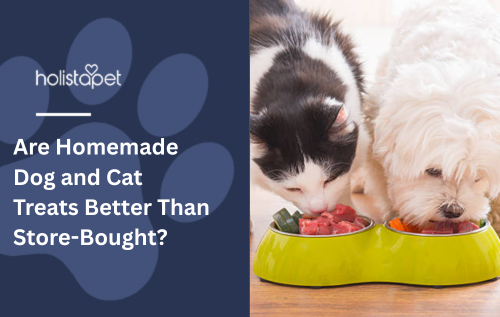 Are Homemade Dog and Cat Treats Better Than Store-Bought?