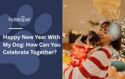 Happy New Year With My Dog: How Can You Celebrate Together?