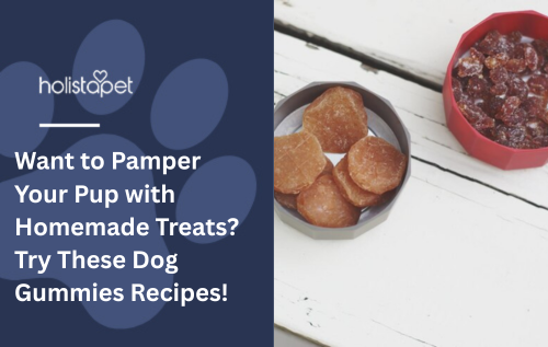 Want to Pamper Your Pup with Homemade Treats? Try These Dog Gummies Recipes!