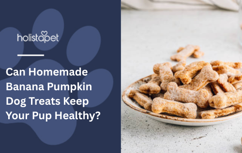 Can Homemade Banana Pumpkin Dog Treats Keep Your Pup Healthy?