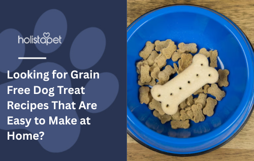 Looking for Grain Free Dog Treat Recipes That Are Easy to Make at Home?