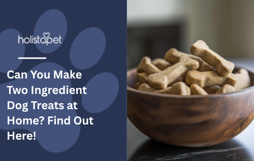 Can You Make Two Ingredient Dog Treats at Home? Find Out Here!