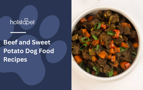 Beef and Sweet Potato Dog Food Recipes