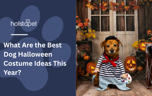 What Are the Best Dog Halloween Costume Ideas This Year?
