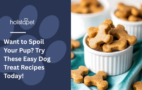 Want to Spoil Your Pup? Try These Easy Dog Treat Recipes Today!