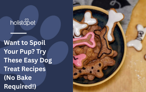 Want to Spoil Your Pup? Try These Easy Dog Treat Recipes (No Bake Required!)