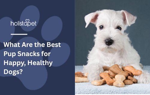 What Are the Best Pup Snacks for Happy, Healthy Dogs?