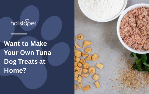 Want to Make Your Own Tuna Dog Treats at Home?