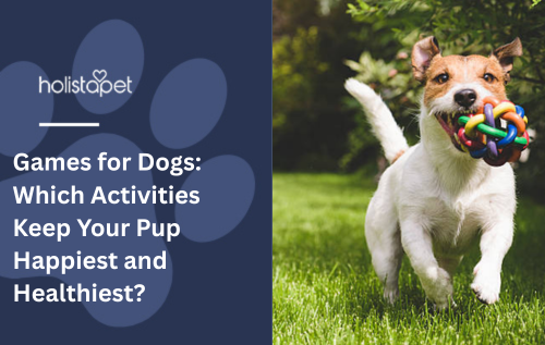 Games for Dogs: Which Activities Keep Your Pup Happiest and Healthiest?
