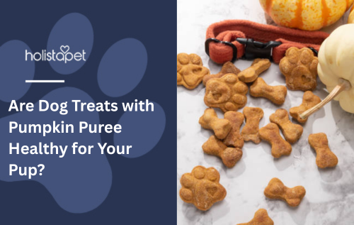 Are Dog Treats with Pumpkin Puree Healthy for Your Pup?