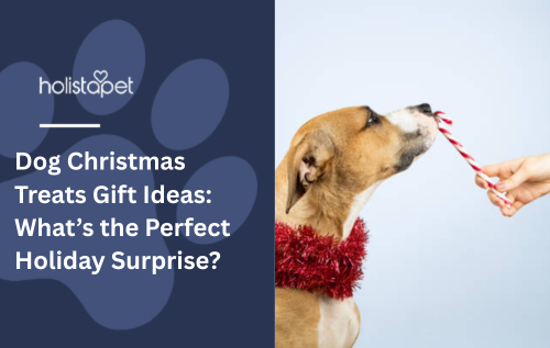 Dog Christmas Treats Gift Ideas: What’s the Perfect Holiday Surprise?