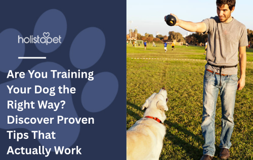Are You Training Your Dog the Right Way? Discover Proven Tips That Actually Work