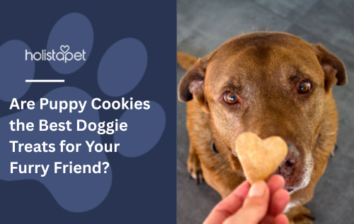 Are Puppy Cookies the Best Doggie Treats for Your Furry Friend?