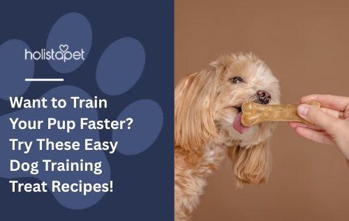Want to Train Your Pup Faster? Try These Easy Dog Training Treat Recipes!