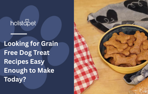 Looking for Grain Free Dog Treat Recipes Easy Enough to Make Today?