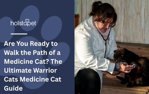 Are You Ready to Walk the Path of a Medicine Cat? The Ultimate Warrior Cats Medicine Cat Guide