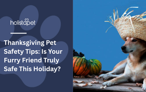 Thanksgiving Pet Safety Tips: Is Your Furry Friend Truly Safe This Holiday?