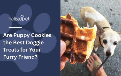 Are Doggie Waffle Treats the Perfect Snack for Your Pup?