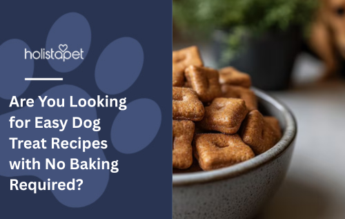 Are You Looking for Easy Dog Treat Recipes with No Baking Required?