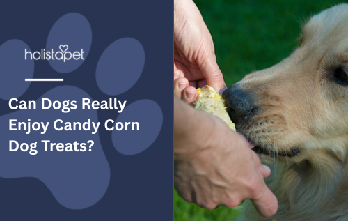 Can Dogs Really Enjoy Candy Corn Dog Treats?