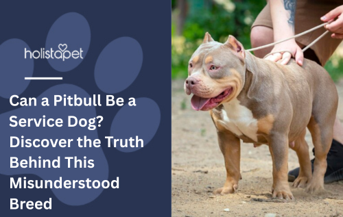 Can a Pitbull Be a Service Dog? Discover the Truth Behind This Misunderstood Breed