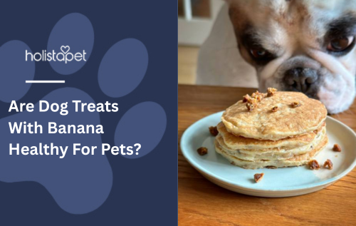 Are Dog Treats With Banana Healthy For Pets?
