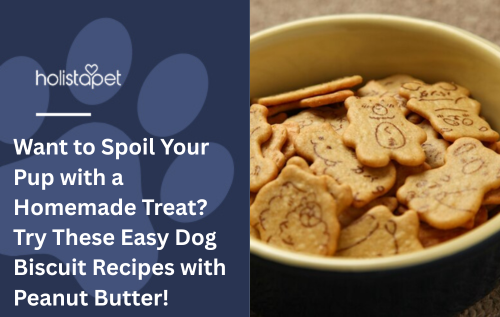 Want to Spoil Your Pup with a Homemade Treat? Try These Easy Dog Biscuit Recipes with Peanut Butter!