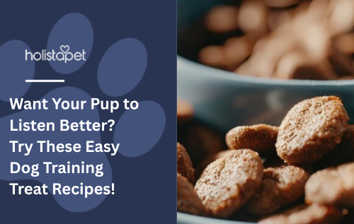 Want Your Pup to Listen Better? Try These Easy Dog Training Treat Recipes!