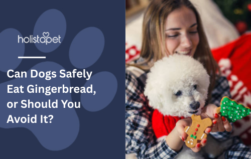 Can Dogs Safely Eat Gingerbread, or Should You Avoid It?