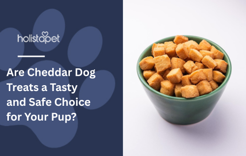 Are Cheddar Dog Treats a Tasty and Safe Choice for Your Pup?