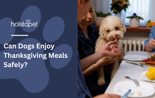 Can Dogs Enjoy Thanksgiving Meals Safely?