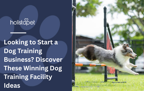 Looking to Start a Dog Training Business? Discover These Winning Dog Training Facility Ideas