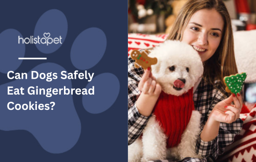 Can Dogs Safely Eat Gingerbread Cookies?